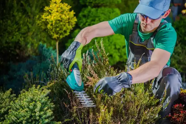 landscaping services Maryland Heights